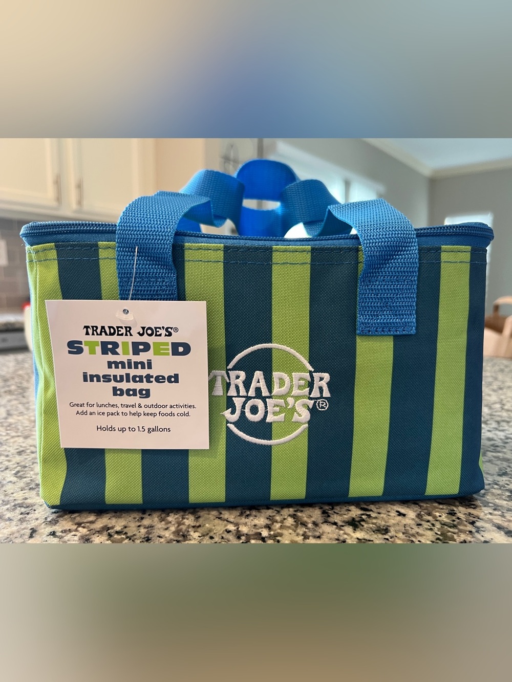 Trader Joe's Striped Mini Cooler, Trader Joe’s mini Insulated tote - Blue, green